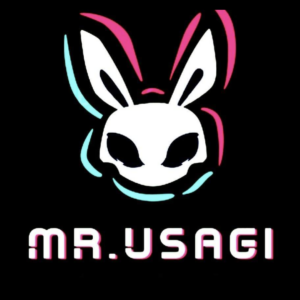 Mr. USAGI
